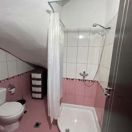 Ani Hostel *